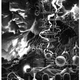 Illustration for article titled These Seven New Universal Monsters Posters Are Absolutely Stunning